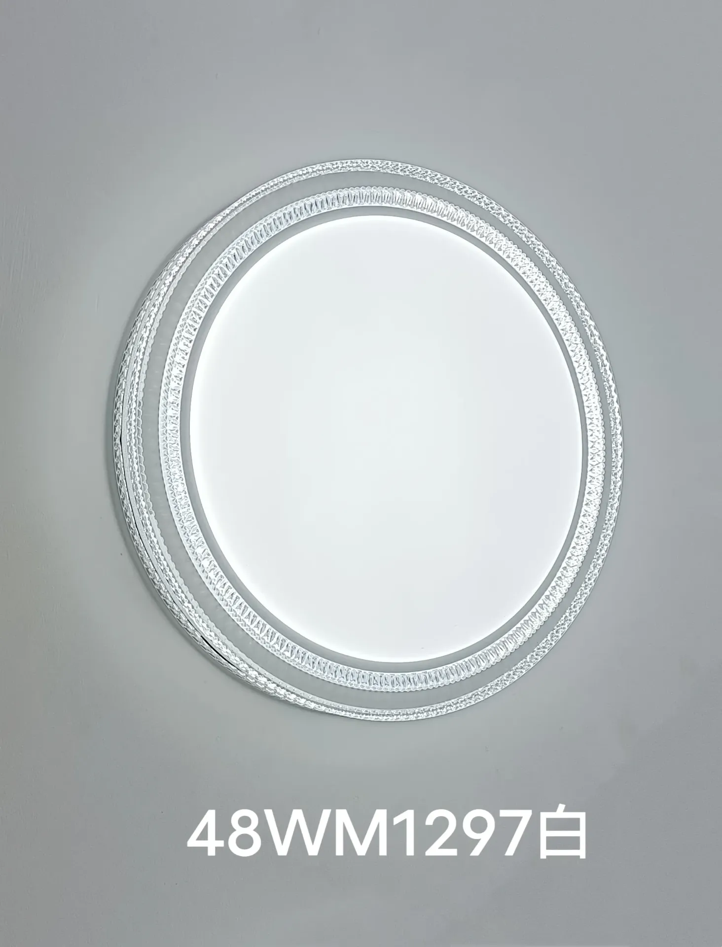 Modern LED Ceiling Light Fixture