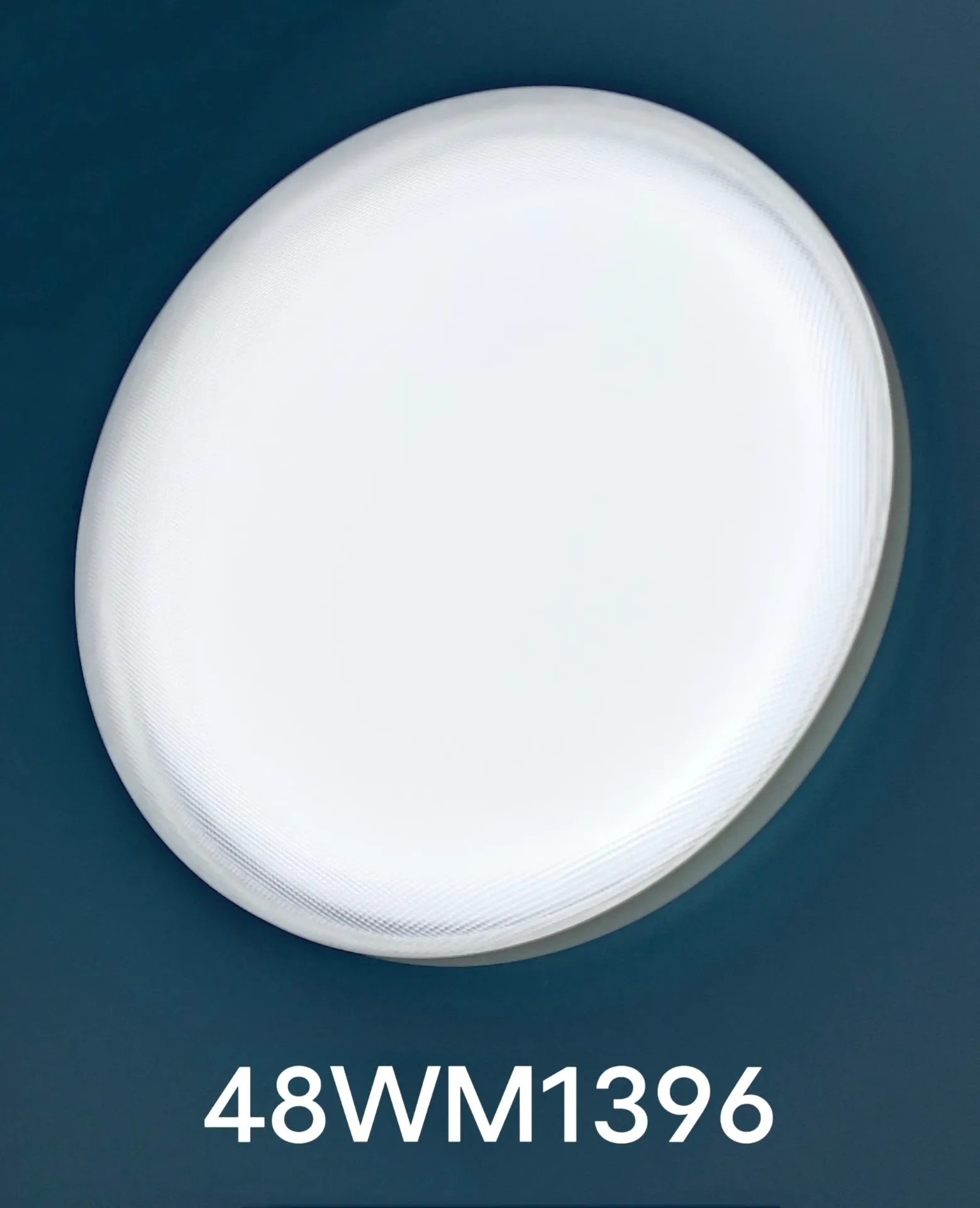 Modern LED Ceiling Light