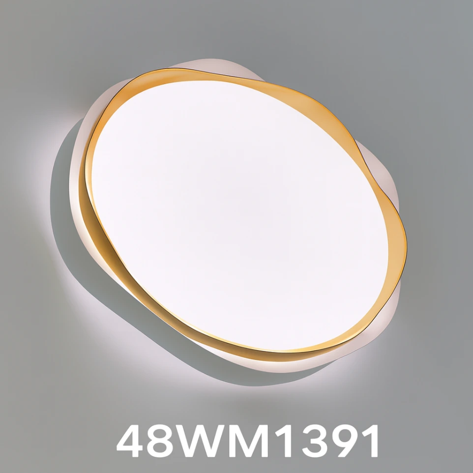 Ceiling Light