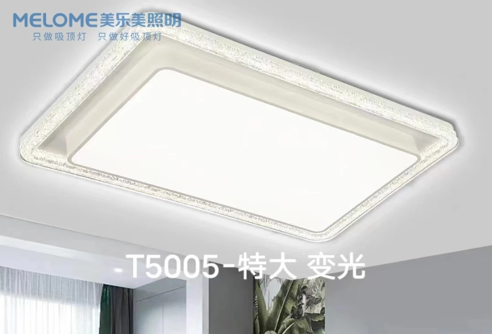 LED Ceiling Light