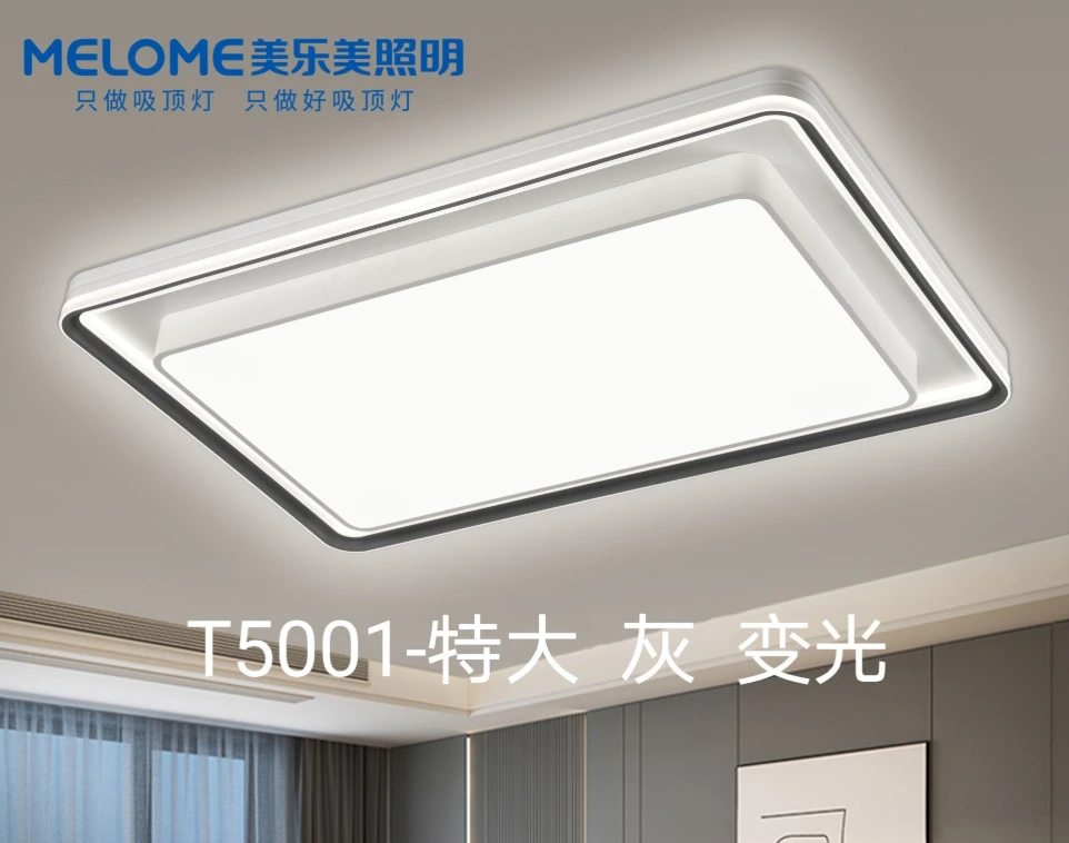 LED Ceiling Light