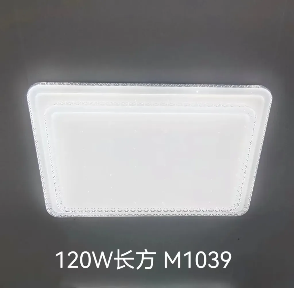 LED Ceiling Light