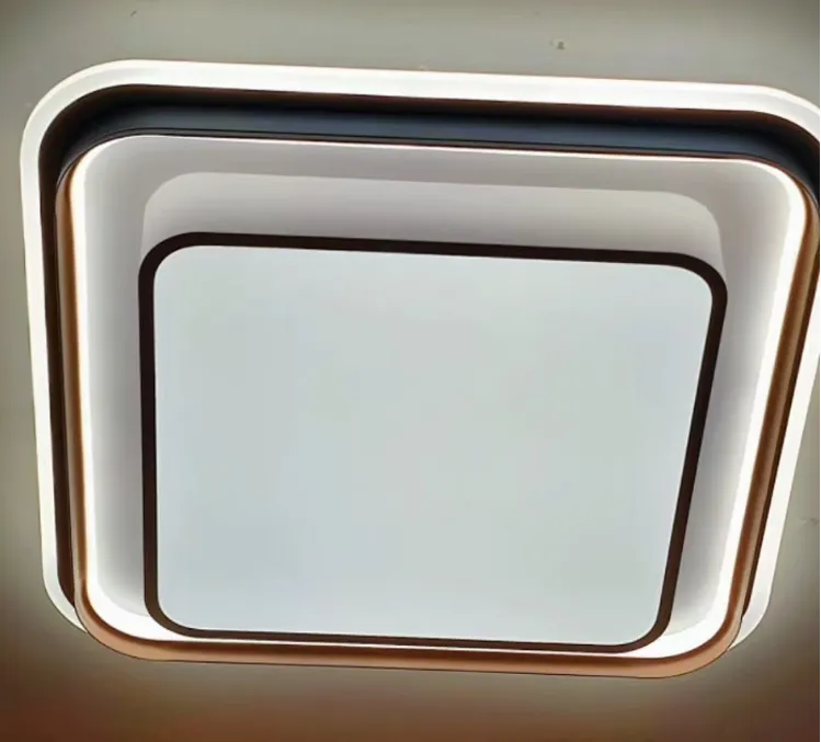 Modern LED  Ceiling Mount Fixture