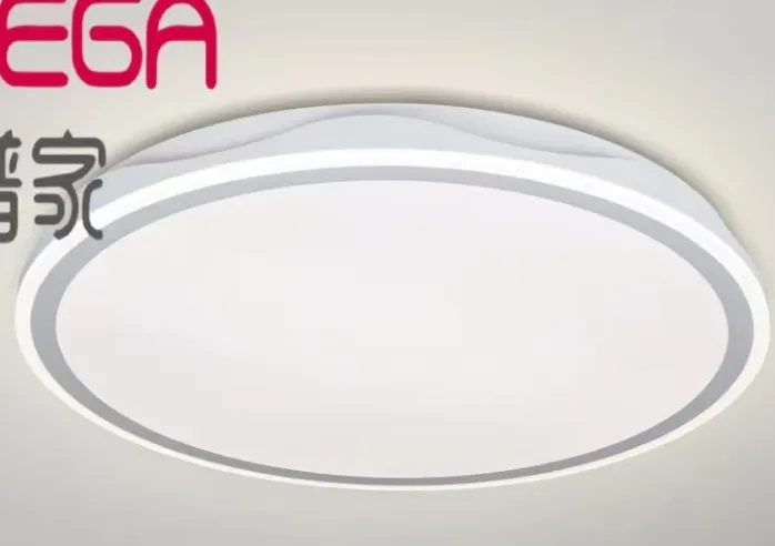White LED Ceiling Fixture