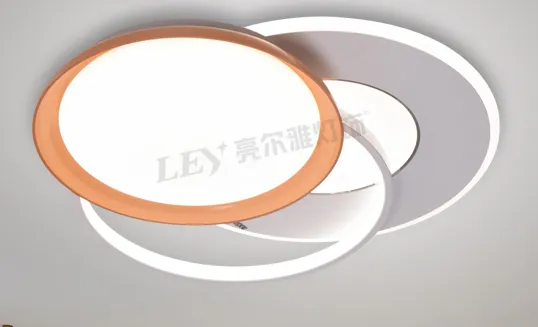 Modern Acrylic LED Flush Mount Ceiling Light